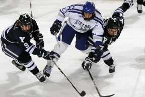 新兴乒乓球技术引发全球选手关注，乒乓球新玩法图片